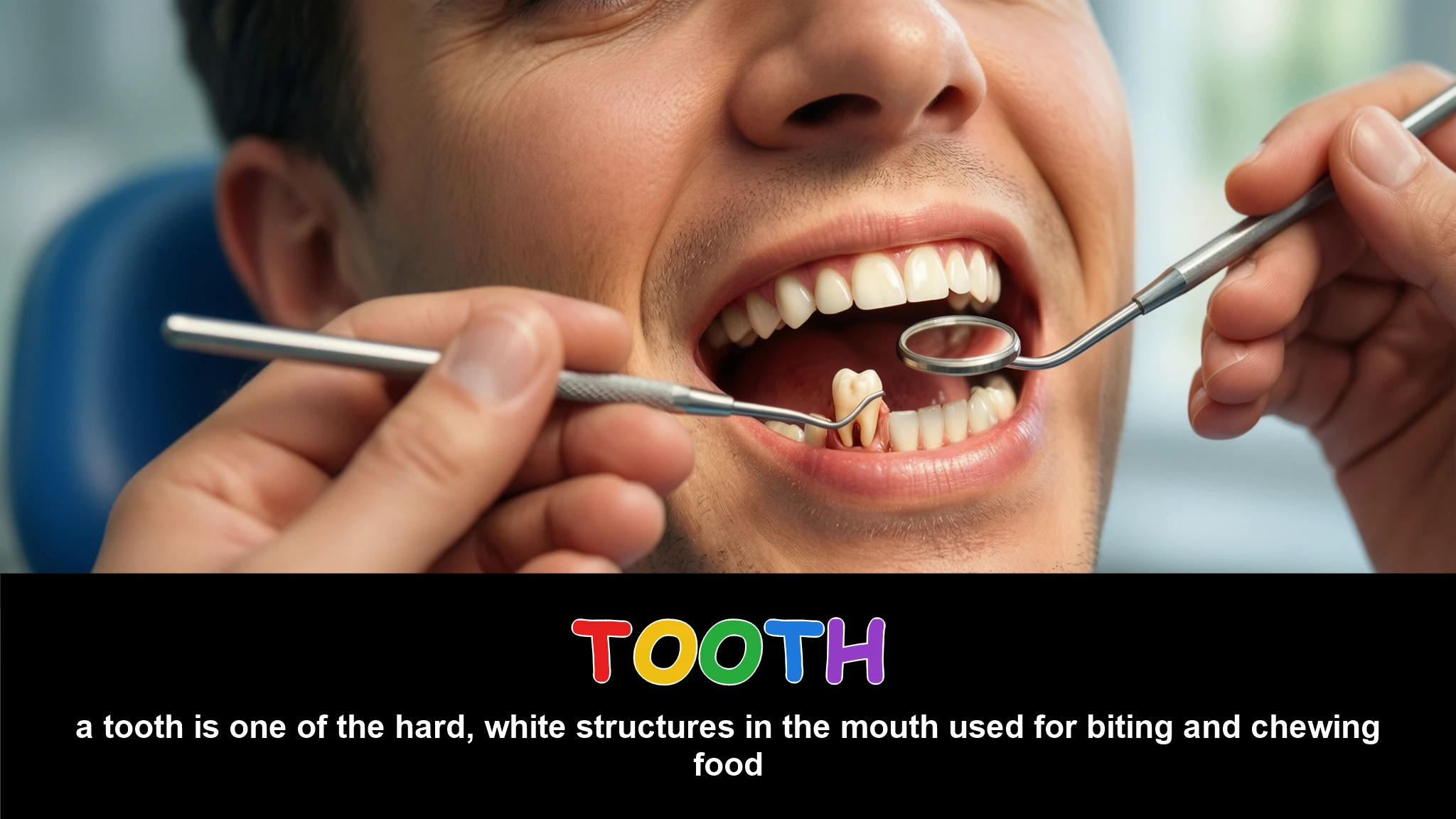 English Illustration for tooth